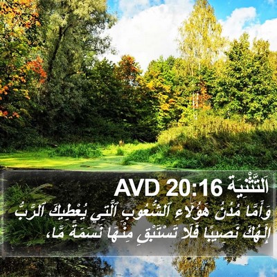 اَلتَّثْنِيَة 20:16 AVD Bible Verse Image