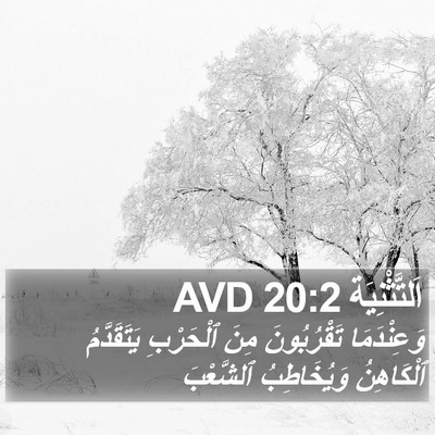 اَلتَّثْنِيَة 20:2 AVD Bible Verse Image