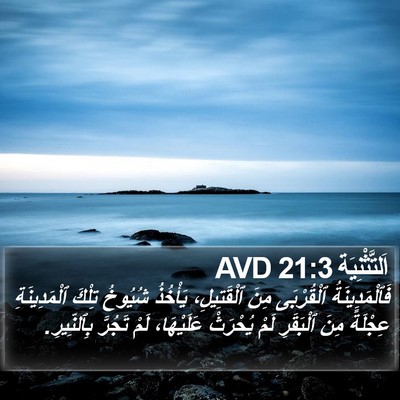 اَلتَّثْنِيَة 21:3 AVD Bible Verse Image