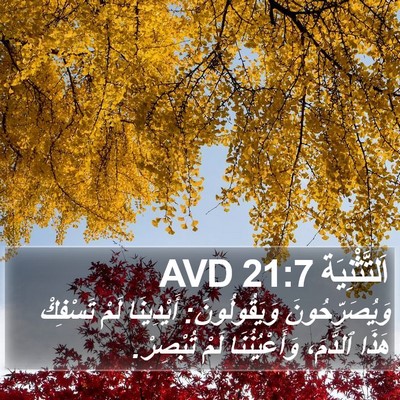 اَلتَّثْنِيَة 21:7 AVD Bible Verse Image