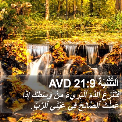 اَلتَّثْنِيَة 21:9 AVD Bible Verse Image
