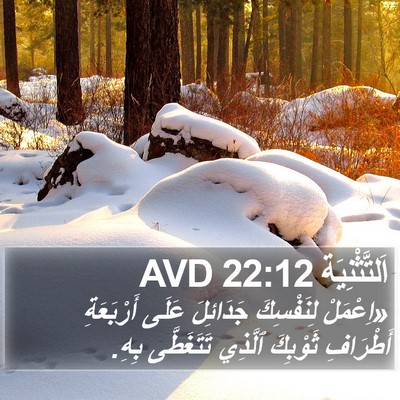 اَلتَّثْنِيَة 22:12 AVD Bible Verse Image