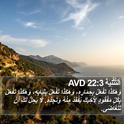 اَلتَّثْنِيَة 22:3 AVD Bible Verse Image