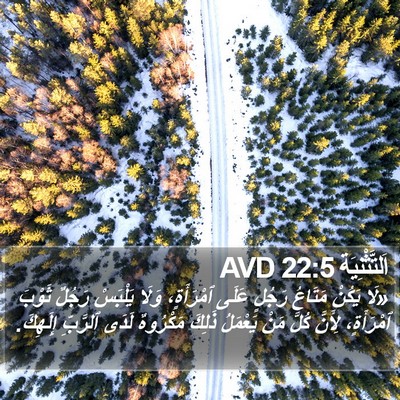 اَلتَّثْنِيَة 22:5 AVD Bible Verse Image