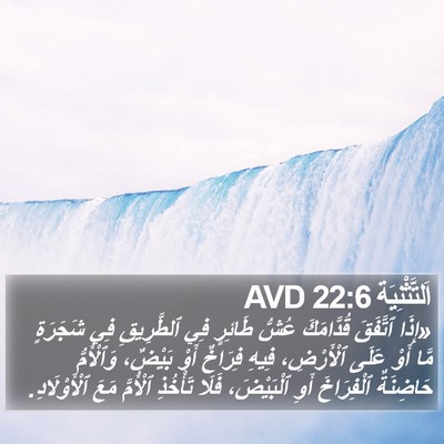 اَلتَّثْنِيَة 22:6 AVD Bible Verse Image
