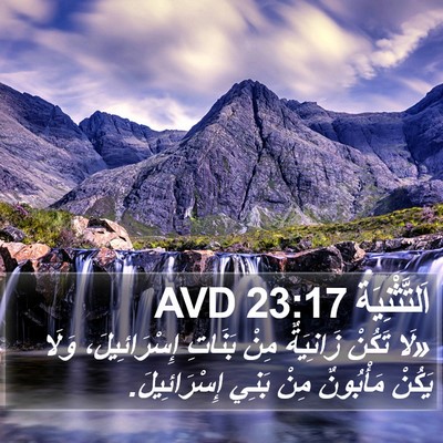 اَلتَّثْنِيَة 23:17 AVD Bible Verse Image