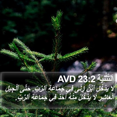 اَلتَّثْنِيَة 23:2 AVD Bible Verse Image