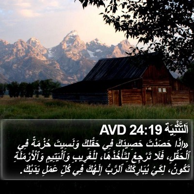 اَلتَّثْنِيَة 24:19 AVD Bible Verse Image