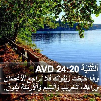 اَلتَّثْنِيَة 24:20 AVD Bible Verse Image
