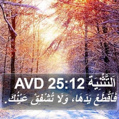 اَلتَّثْنِيَة 25:12 AVD Bible Verse Image