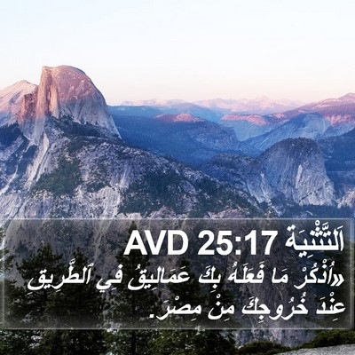 اَلتَّثْنِيَة 25:17 AVD Bible Verse Image