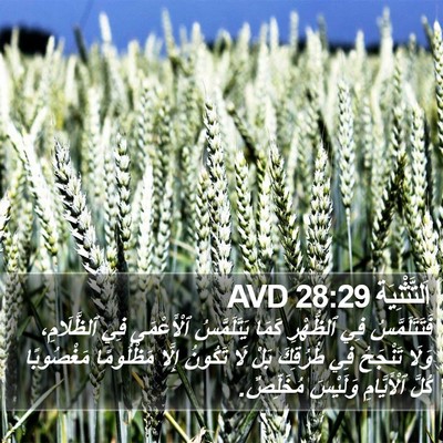 اَلتَّثْنِيَة 28:29 AVD Bible Verse Image