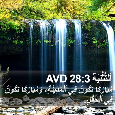 اَلتَّثْنِيَة 28:3 AVD Bible Verse Image