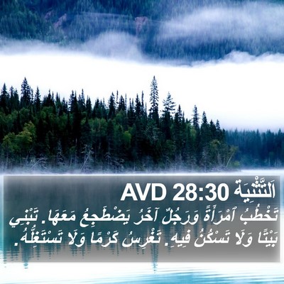 اَلتَّثْنِيَة 28:30 AVD Bible Verse Image