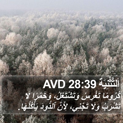 اَلتَّثْنِيَة 28:39 AVD Bible Verse Image