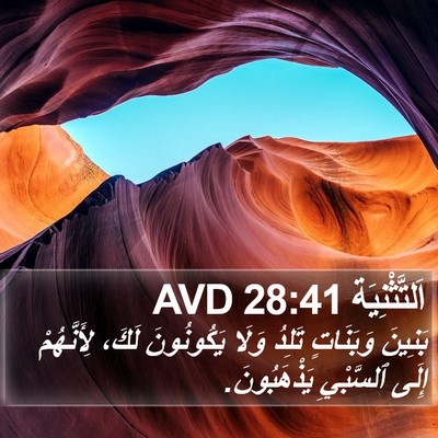 اَلتَّثْنِيَة 28:41 AVD Bible Verse Image