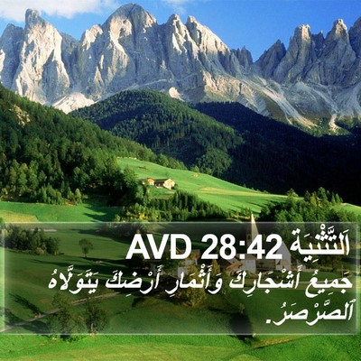 اَلتَّثْنِيَة 28:42 AVD Bible Verse Image