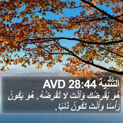 اَلتَّثْنِيَة 28:44 AVD Bible Verse Image