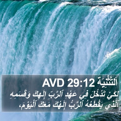 اَلتَّثْنِيَة 29:12 AVD Bible Verse Image