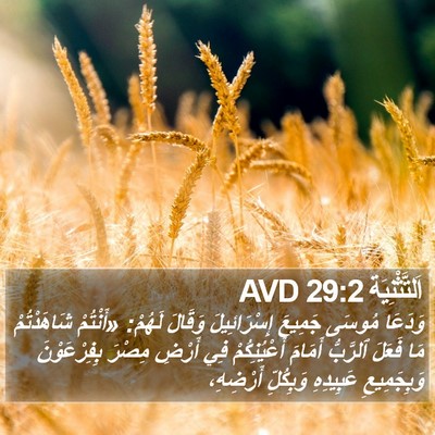 اَلتَّثْنِيَة 29:2 AVD Bible Verse Image