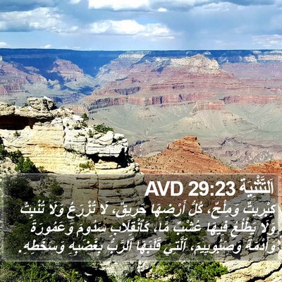 اَلتَّثْنِيَة 29:23 AVD Bible Verse Image