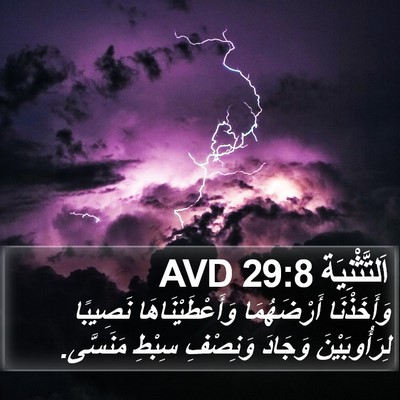 اَلتَّثْنِيَة 29:8 AVD Bible Verse Image
