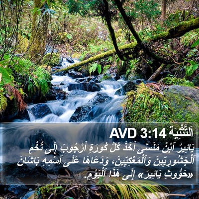 اَلتَّثْنِيَة 3:14 AVD Bible Verse Image