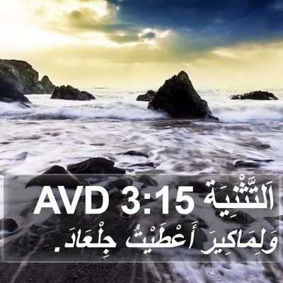 اَلتَّثْنِيَة 3:15 AVD Bible Verse Image