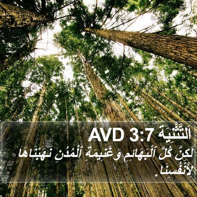 اَلتَّثْنِيَة 3:7 AVD Bible Verse Image
