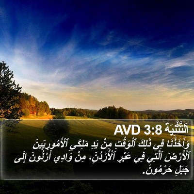 اَلتَّثْنِيَة 3:8 AVD Bible Verse Image