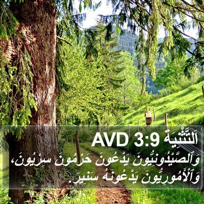 اَلتَّثْنِيَة 3:9 AVD Bible Verse Image