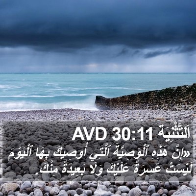 اَلتَّثْنِيَة 30:11 AVD Bible Verse Image