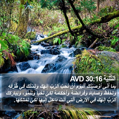 اَلتَّثْنِيَة 30:16 AVD Bible Verse Image