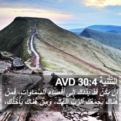 اَلتَّثْنِيَة 30:4 AVD Bible Verse Image