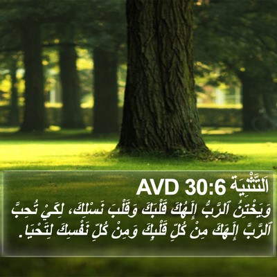 اَلتَّثْنِيَة 30:6 AVD Bible Verse Image