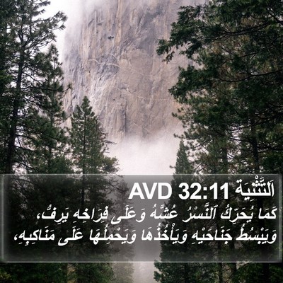 اَلتَّثْنِيَة 32:11 AVD Bible Verse Image