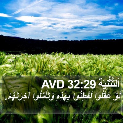 اَلتَّثْنِيَة 32:29 AVD Bible Verse Image