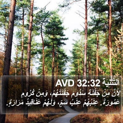 اَلتَّثْنِيَة 32:32 AVD Bible Verse Image