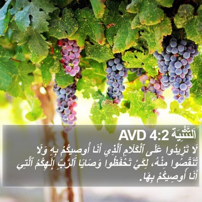 اَلتَّثْنِيَة 4:2 AVD Bible Verse Image