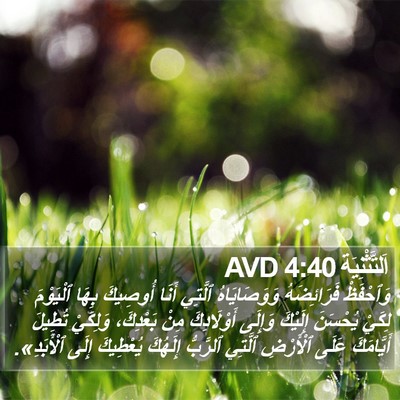 اَلتَّثْنِيَة 4:40 AVD Bible Verse Image