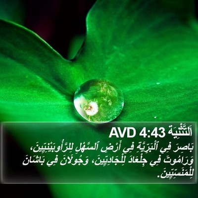 اَلتَّثْنِيَة 4:43 AVD Bible Verse Image