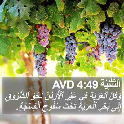 اَلتَّثْنِيَة 4:49 AVD Bible Verse Image
