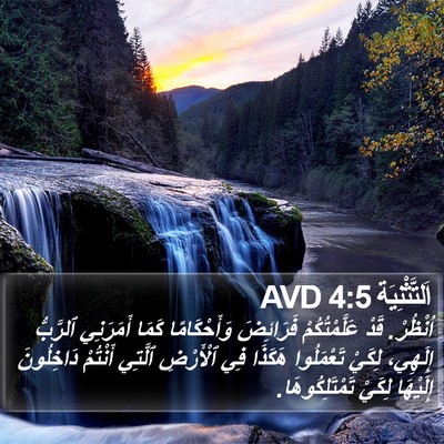 اَلتَّثْنِيَة 4:5 AVD Bible Verse Image