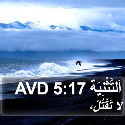 اَلتَّثْنِيَة 5:17 AVD Bible Verse Image