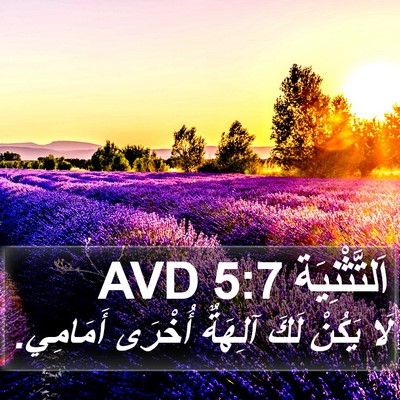 اَلتَّثْنِيَة 5:7 AVD Bible Verse Image