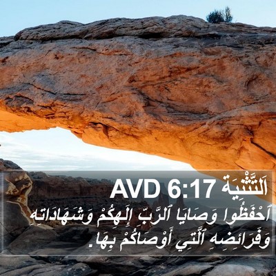 اَلتَّثْنِيَة 6:17 AVD Bible Verse Image