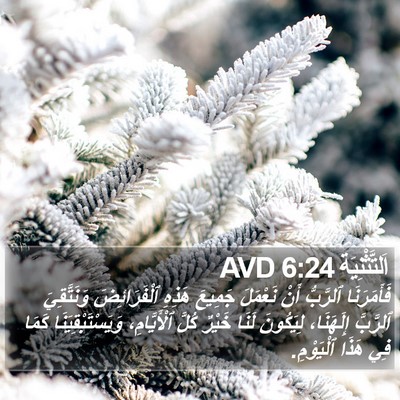 اَلتَّثْنِيَة 6:24 AVD Bible Verse Image