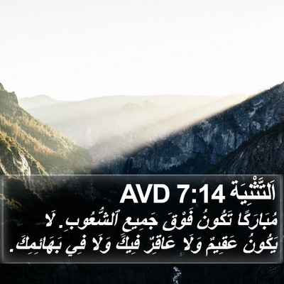 اَلتَّثْنِيَة 7:14 AVD Bible Verse Image