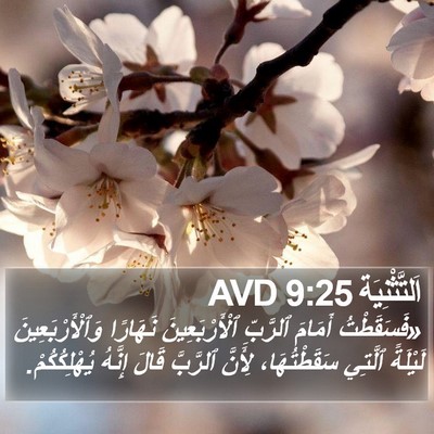 اَلتَّثْنِيَة 9:25 AVD Bible Verse Image