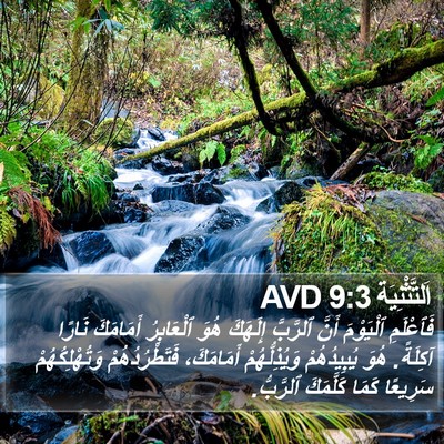 اَلتَّثْنِيَة 9:3 AVD Bible Verse Image
